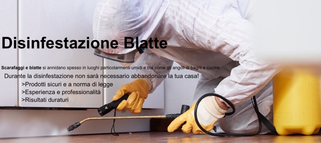 disinfestazione blatte