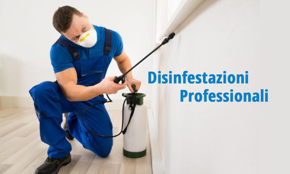 disinfestazione massa-carrara